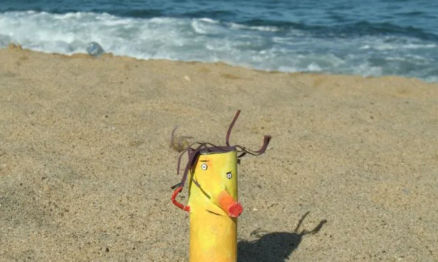 Mumo a la platja